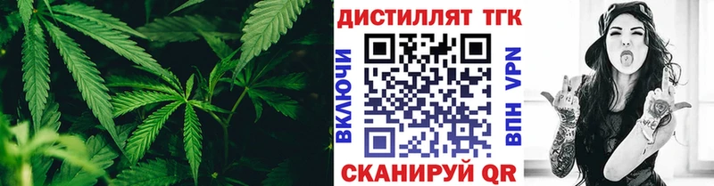 ТГК THC oil  Купить закладки  Ковдор 