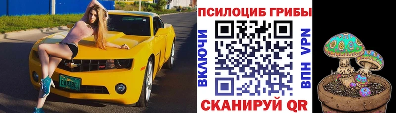 Купить где  Ковдор  Псилоцибиновые грибы ЛСД 